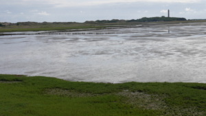 P1100269